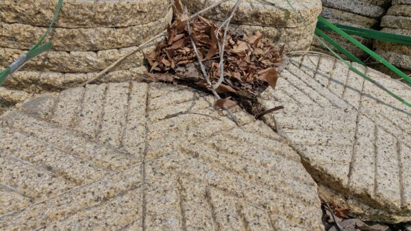 경주골재 화강암 호피석